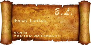 Boros Lantos névjegykártya